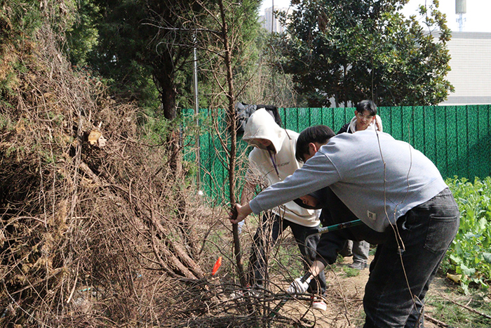 使用7.jpg 使用7.jpg