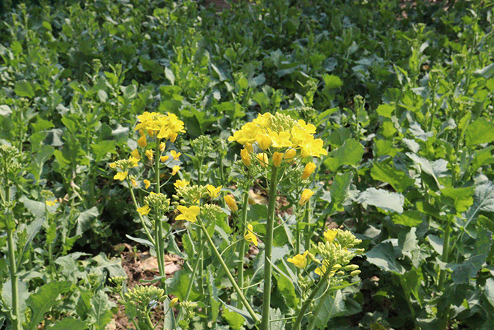 使用1.jpg 使用1.jpg