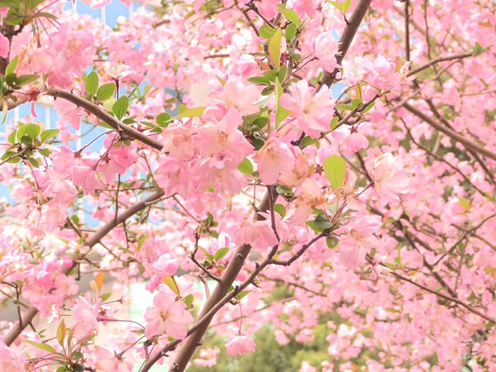 使用3.jpg 使用3.jpg