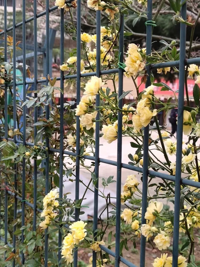 使用4.jpg 使用4.jpg