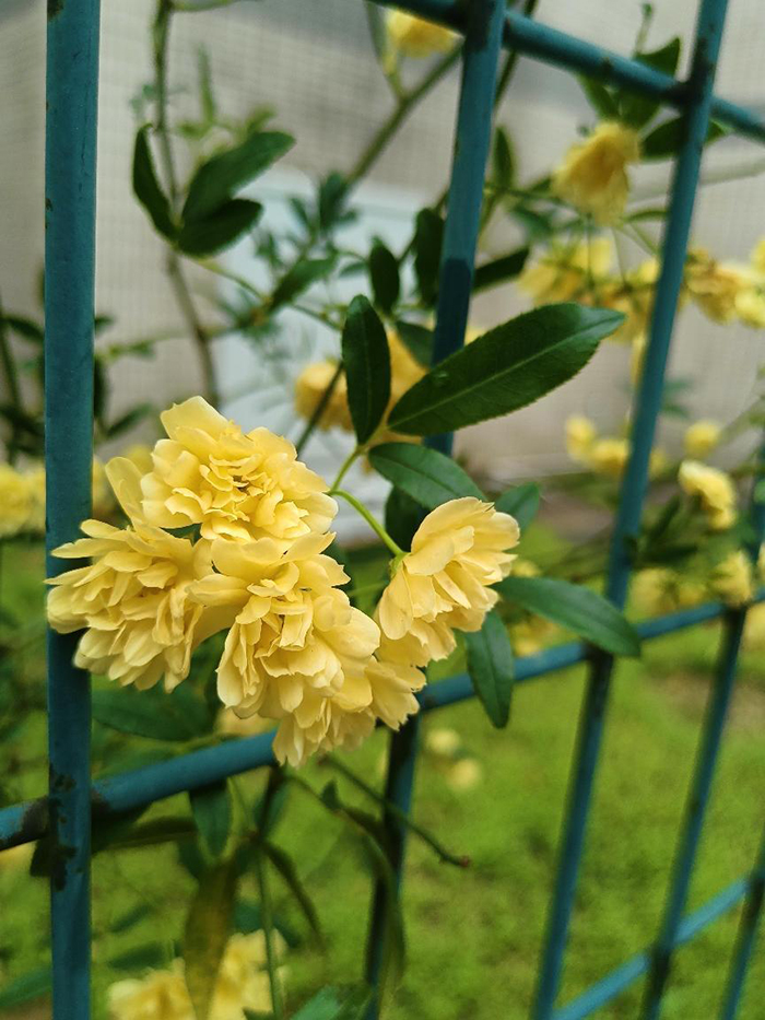 使用1.jpg 使用1.jpg