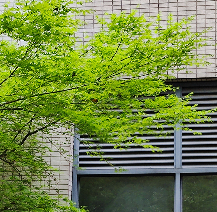 使用2.jpg 使用2.jpg