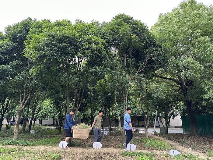 使用3.jpg 使用3.jpg